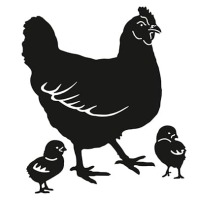 Animale domestice