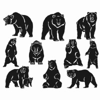 Bear Bundle