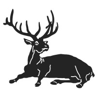 Cerb V13