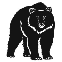 Bear V1