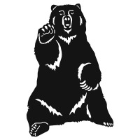 Bear V3