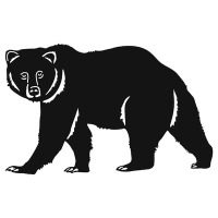Bear V4