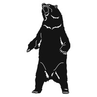 Bear V5