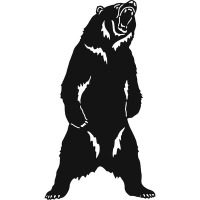 Bear V6