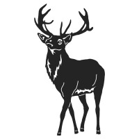 Cerb V9