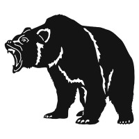 Bear V9