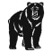 Bear V10