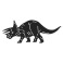 Triceratops
