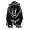 Bear V7